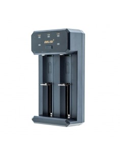 Cargador Pilas Golisi L2