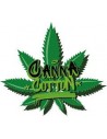 Canna Cotton