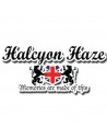 Halcyon Haze